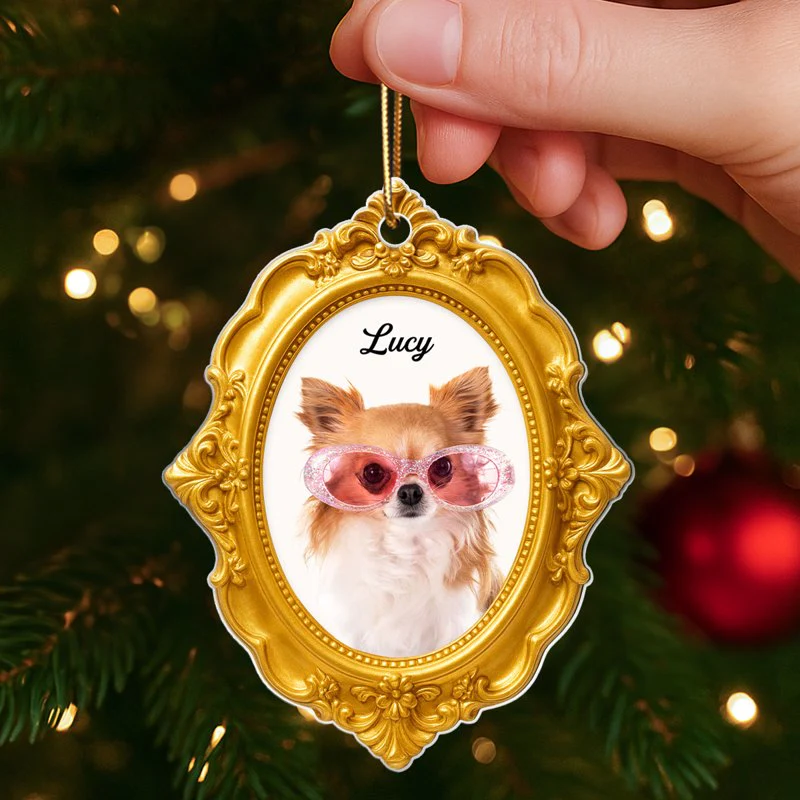 Golden Picture Frame Dog Cat Photo Upload - Personalized Acrylic Ornament - Christmas Gift for Dog Cat Mom - Image 4