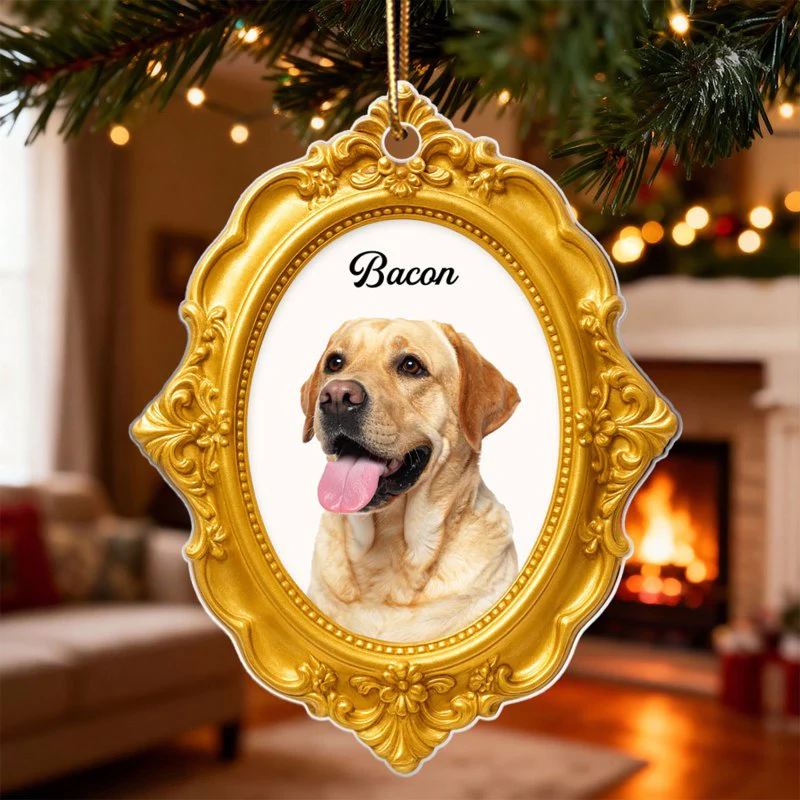 Golden Picture Frame Dog Cat Photo Upload - Personalized Acrylic Ornament - Christmas Gift for Dog Cat Mom - Image 5